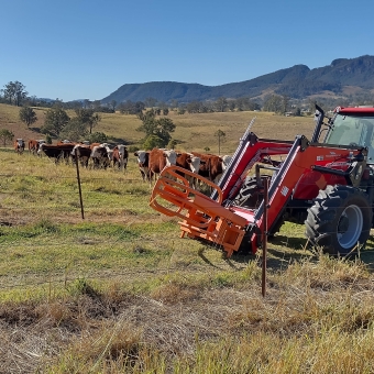 On The Farm, Gloucester, with a red farm tractor in the foreground on the right of the picture which has a hay bale carrier on it's front, with about twenty brown and white Hereford cows in the field immediately behind and to the left of the tractor, with a low-rolling green hill behind the cows, with a dark green mountain in the distance, with a clear blue sky above