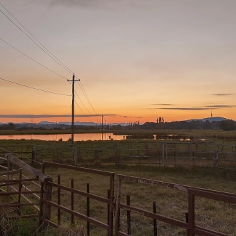 Sunset Over The Cattle Trap, Shoveler Pond, Fyshwick, with fencing made into small fields immediately in front, with small powerpoles going off into the horizon where an orange glow of sunet is silhouetting streaked clouds just above the sunset, with Parliament House and Telstra Tower visible as miniscule pin needle spikes silhouetted against the sky in the distance