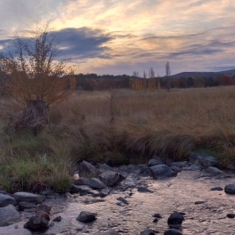 Sunset Vibes, Lake Ginninderra, Amaroo, with a churning river through rocks and long grass, with gilded glowing grey clouds above