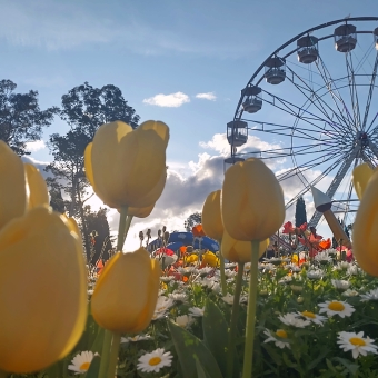 Clouds Above The Coast, from the plane, with a plane wing in the foreground against blue water far beneath leading to flat land and a large gap to a flat layer of cloud