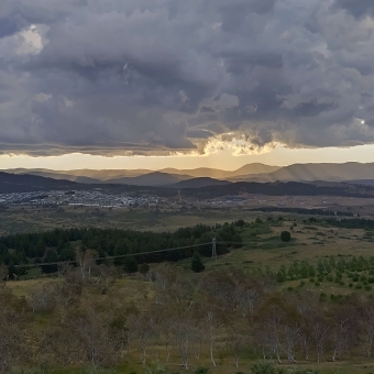 Broad Sunrays, National Arboretum, with yellow sunray emanating from a grey mass of clouds above, against many a seemingly random pathwork of similar trees