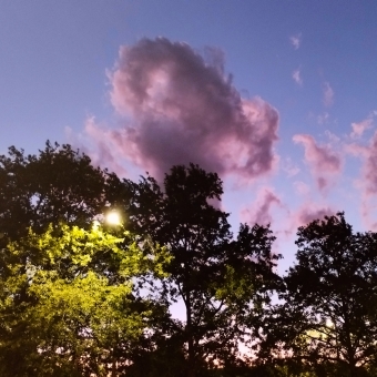 Pastel Clouds, Civic, Canberra, with purple-lined dark clouds overhead in a darkening sky against the almost-silhouette of trees occasionally lit by streetlights
