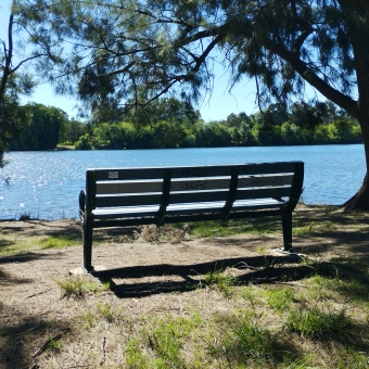 Tranquil Outlook, Black Mountain Peninsula, Acton, with a wooden bench over dirt all in the shade of an overarching tree and all facing blue water and green on the far bank