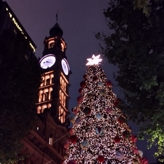 It's Christmas Time, Martin Place, Sydney, with a giant Christmas tree covered in fairy lights and the clock tower in Martin Place against a navy-blue sky