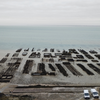 Parcs à Huîtres de Cancale, Cancale