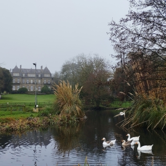 Parc du Port Breton, with geese