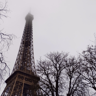 Tour Eiffel, from the tree-line