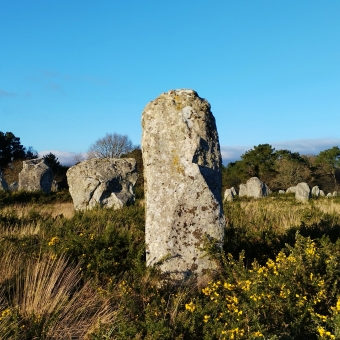 Alignménts du Ménec, Carnac