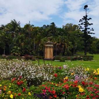 Bloomin' Summer, Royal Botanical Gardens, Sydney, with a massive flowerbed in front containing dots of white and red and yellow and orange and purple and pink flowers amongst green leaves, with a statue in front of palm trees in the background;
