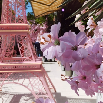 Floral Eiffel, The Grounds of Alexandria, with a small branch of pink flowers in the immediate foreground on the right, with a pink miniature Eiffel Tower in the mid-background on the left