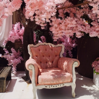 Pink Armrest, The Grounds of Alexandria, with a pink armchair with white trim in the centre, a pink-floral tree in the background and a planter box to the right and step to a platform on the left