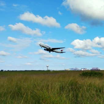 Taking Off, The Beach, Mascot, with a plane against a brilliant blue sky occasionally dotted with clouds, with green grass underneath