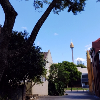 City View, Stephen Street, Woolloomooloo, with Centrepoint Tower the focus in the distance, with the walls of two buildings either side and a tree in the foreground which frames Centrepoint Tower