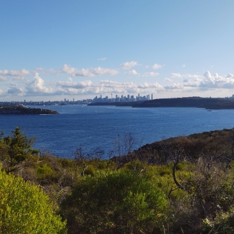 Distant City, North Head, with Sydney skyline in a distant blue haze past vast waters and headlands