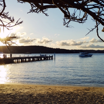 Sunset Wharf, North Head, with a wharf silhouetted against blue water, with yellow sand and clouds and blue sky and silhouetted branches overhead