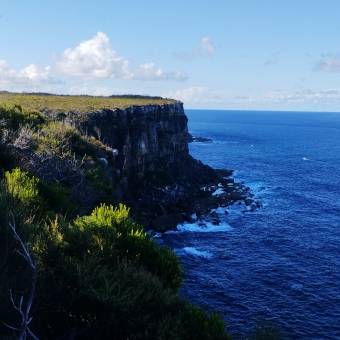 Sheer Cliffs, North Head, with green-topped cliffs descending over crashing waves many storeys below