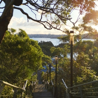 Green Steps, North Head, with a long staircase descending to a harbour edge bordered by green trees and bathing in golden sunlight