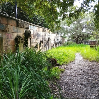 Sleeping Greenery, Camperdown Cemetery, Newtown, with tombstones aligning a wall on the left which are paralleled by a dirt path, with brilliant greens from ferns and trees and grasses surrounding them