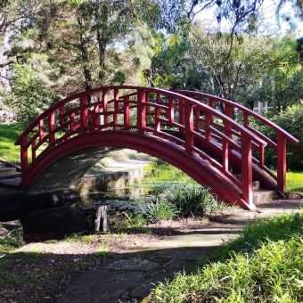 The Red Bridge, Foundation House Gardens, Lilyfield, with a red wooden bridge crossing a small body of water which is surrounded by green grass and trees