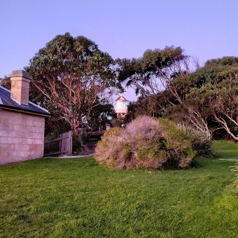 Natural Peephole, Hornby Lighthouse, Watsons Bay, with the top of Hornby Lighthouse appearing through a gap in the foreground trees all tinted with a magenta glow from the sunset behind the camera