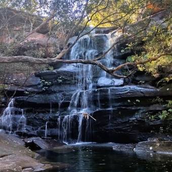 Cascading Waterfall, Kariong Brook Falls, Kariong, with a four-storey waterfall falling in many thin streams into a dark-teal pool, with a girthy branch across the front which has a rope swing attached