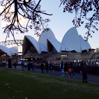 Botanical Opera, Royal Botanical Gardens, Sydney, with an overhanging tree in front of people walking on a path in front of the Opera House and Harbour Bridge in the distance