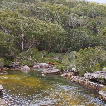 The Little Red Canoe, Kangaroo Creek Falls, Engadine Track, Royal National Park, with a red canoe fitting a whole family in the distance on a river bank, with rocky banks then trees surrounding the narrow river