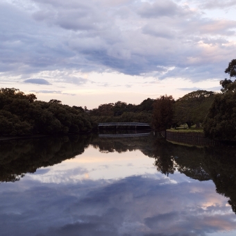 Lavender River, Cooks River, Earlwood, with purple clouds reflected in the calm river below, with green mangroves lining the river on both sides