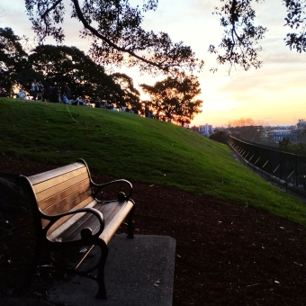 Observing The Sunset, Observatory Hill, with a wooden bench in the foreground on a rolling grassy hill and an overhanging tree which has the sunset streaming through it