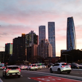 Tulip Bloom, Spring Drone Show, Darling Harbour, with drones making dots of light making the outlines of a tulip and its stem which are reflected in the water below