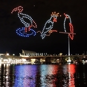 Sydney Opera House, from Sydney Harbour Bridge, with the Opera House in centre-frame against a blue sky reflected in the water below