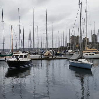 Reflected Yachts, Rushcutters Bay, with many docked yachts with bare masts all facing the camera and reflected in the water