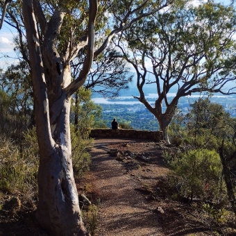 Grand View, Mt Ainslie, Canberra, with a dirt path leading through a gap in the trees overlooking Civic in Canberra
