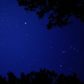 Night's Sky, Molonglo Picnic Area, Canberra, with a multitude of tiny white pin pricks in an otherwise navy blue sky