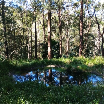 Hidden Tarn, Otford Road, Otford, with thick trees surrounding a little blue pool which reflects many off the surrounding trees