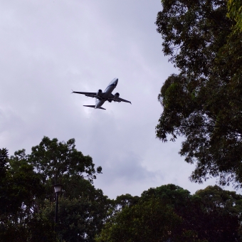 The Arbour Flightpath, Sydenham Green, Sydenham, with a large plane against grey clouds framed by two trees to the right and bottom