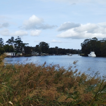 Wistful Calm, Monash Reserve, East Hills, with wheat-like grass in the foreground against the blue river and mashed-potato clouds in the distance