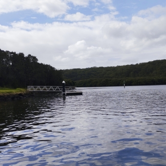 Aquatic Mosaic, Georges River Jetty, Revesby Heights, with rippling water in the foreground leading to a jetty coming from the left and trees lining the river bank in the distance