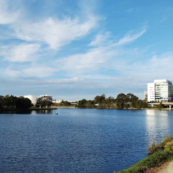 Cooks River, Rowers On Cooks River, Wolli Creek, with choppy blue water reflecting wispy blue sky above