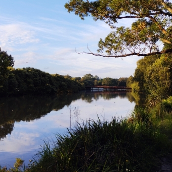 Cooks River, Earlwood, with a still river below a pastel clouded sky all surrounded by green shrubs and trees