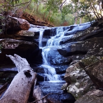 Palona Waterfall, Royal National Park, near Waterfall, with a cascading waterfall over rocks surrounded by other rocks left and right and trees above and fallen branches below