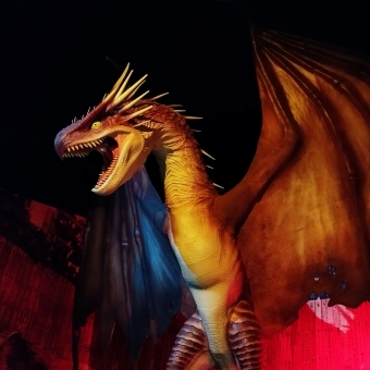 The Hungarian Horntail, The Harry Potter Exhibition, Sydney Olympic Park, with a well-lit tangerine-coloured dragon in an otherwise dark room