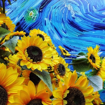 Van Gogh's Sunflowers, The Grounds Of Alexandria, Alexandria, with many yellow sunflowers from the bottom-right corner in front of an artwork in the style of Van Gogh's A Starry Night