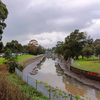 Iron Cove Creek, Haberfield and Five Dock, with a canal running down centre frame, with grassland and scattered trees either side