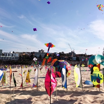 Kites Akimbo, Festival Of The Winds, Bondi Beach, with many little multicoloured kites in front stuck into sand by little wooden poles, with many large kites flying in the midground which includes a panda and a rainbow manta ray and several jellyfish, with the blue sky streaked with white clouds
